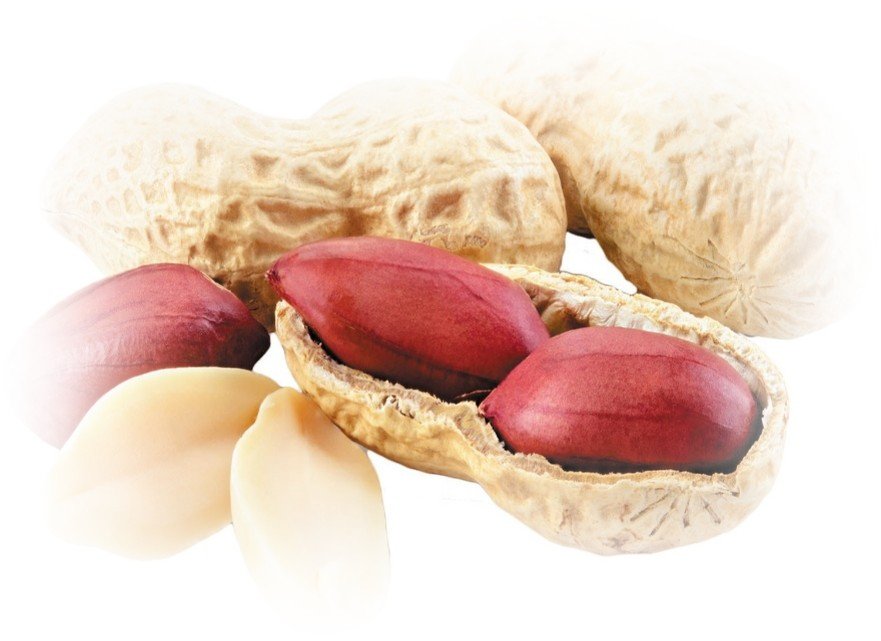 Peanuts