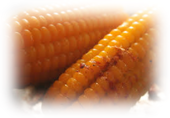 Boiled corn