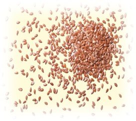 Flax Seeds