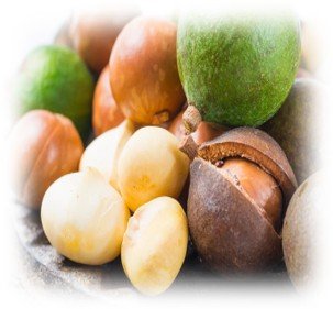 Macadamia nuts